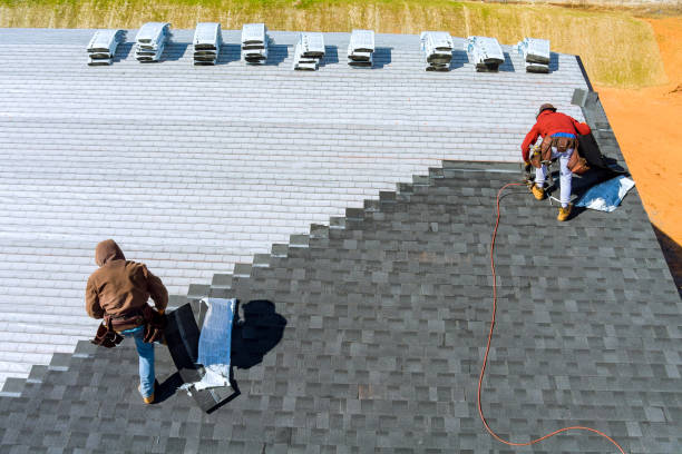 Best Storm Damage Roof Repair  in Pines Lake, NJ